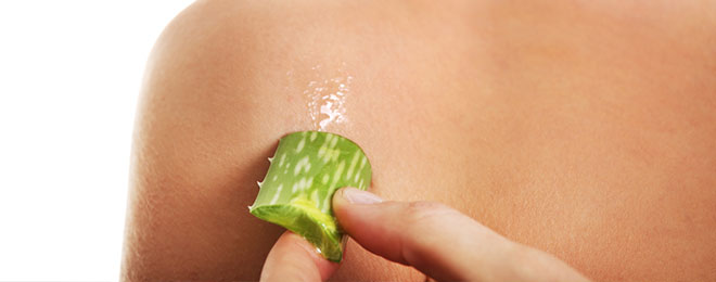 Aloe Vera Healing Skin